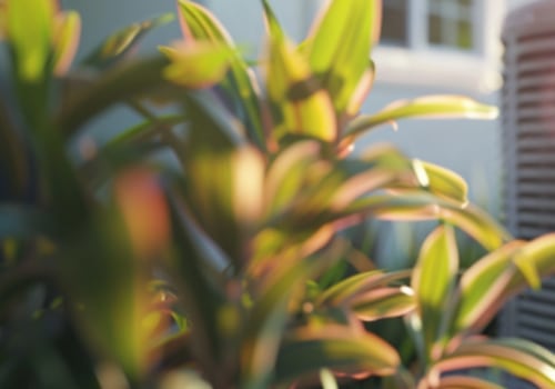 How Annual HVAC Maintenance Plans in Cooper City FL Prevent Costly Repairs